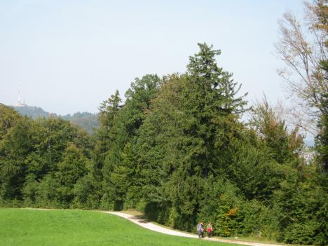 Felsenegg 030.jpg   31kb   26.03.2021 22:32:47